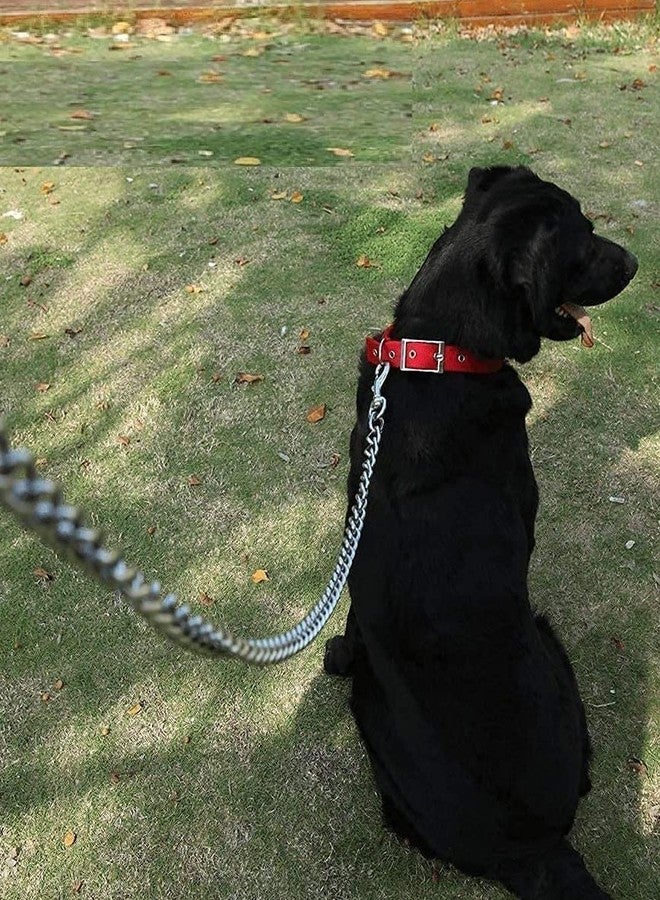 Pups&Pets طوق كلاب متين من Pups&Pets، طوق كلاب معدني بسلسلة ومقبض للكلاب الصغيرة والمتوسطة الحجم (المقاس - متوسط، متعدد الألوان) - Image 5